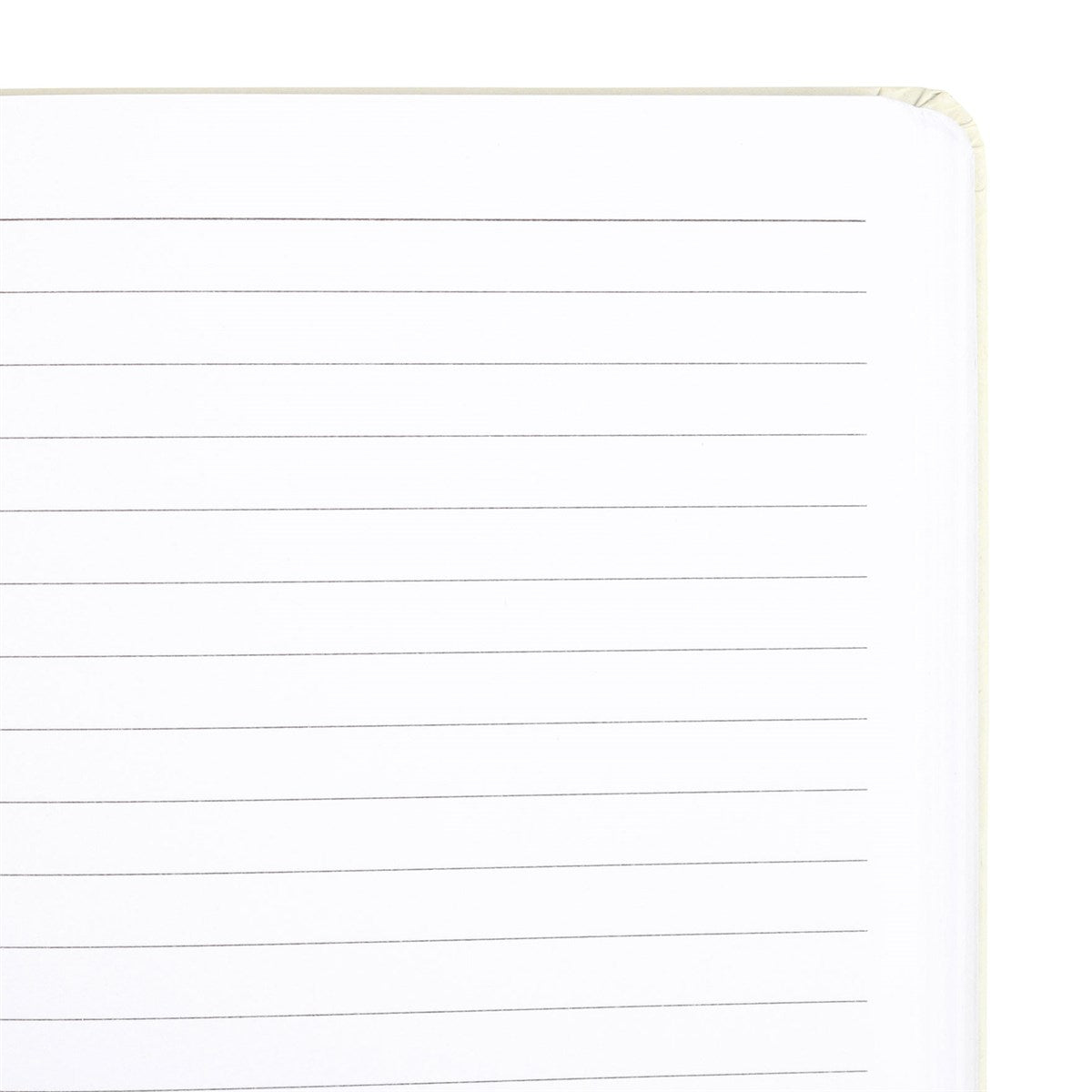 TAROT CELESTIAL | CADERNO