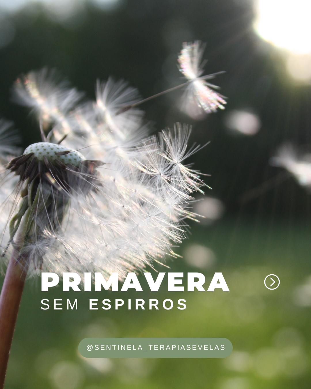 NOVA ESTAÇÃO, NOVA VERSÃO